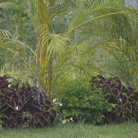 Aparthotel Europa Punta Cana Kültér fotó